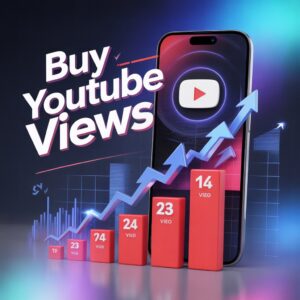 Team Sani buy youtube views
